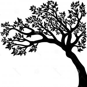 300x300 Stock Illustration Oak Tree Drawing Vector Logo Design