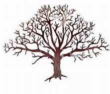 221x188 Oak Tree Drawing