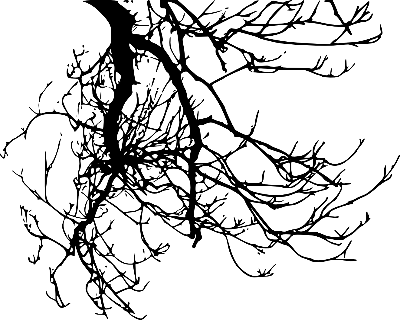 1322x1060 Collection Of Free Tree Drawing Contour Download On Ui Ex