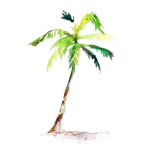 570x614 Easy Palm Tree Palm Tree Easy X Paint Easy Palm Trees