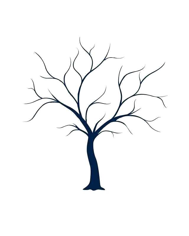 640x800 Family Tree Drawing Free