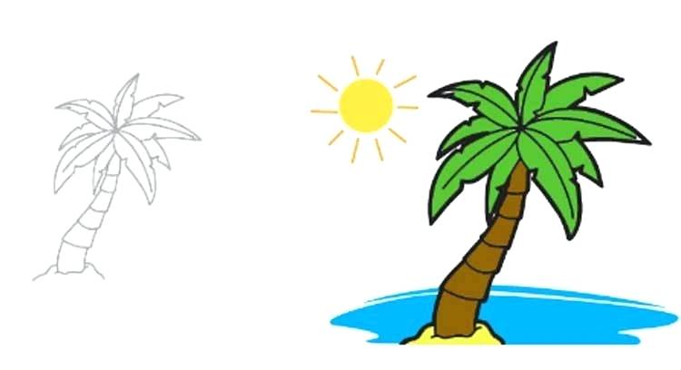750x408 Easy Palm Tree Drawing An Easy Way Drawing Palm For Kids Easy Palm
