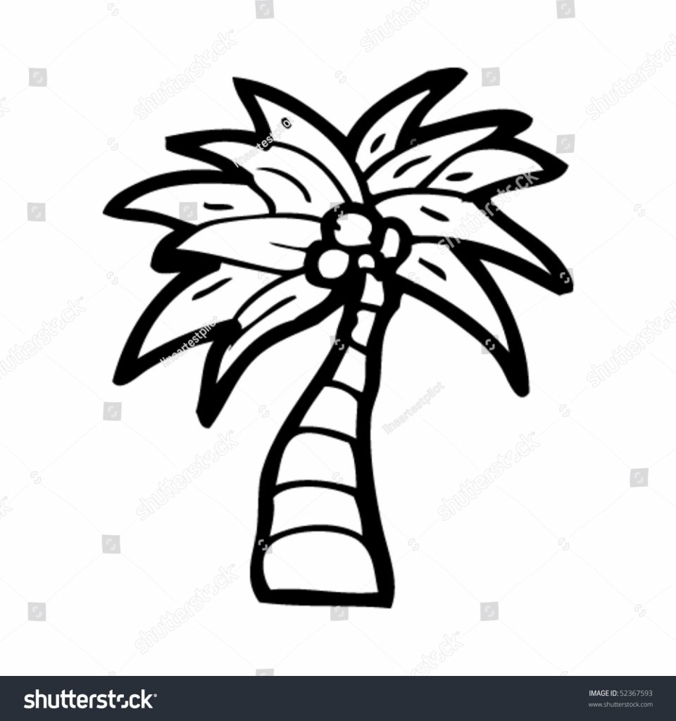 960x1024 Obsession Drawing Of A Palm Tree Quirky Coconut Stock Vector