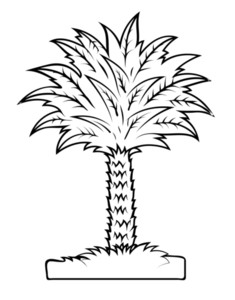 235x300 Vector Drawing Of Palm Tree Royalty Free Stock Image