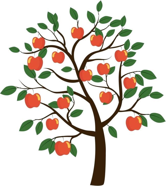 650x728 apple tree branch drawing vector apple tree vector diagram green