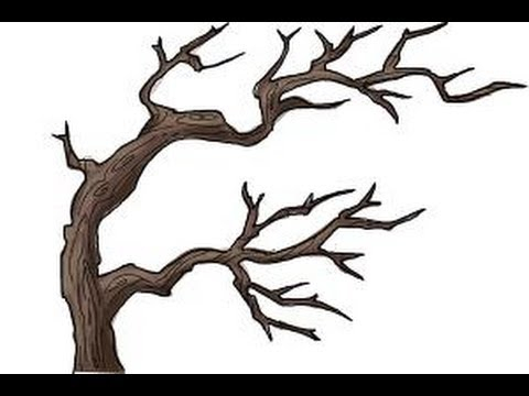 480x360 Great Tree Branch Drawing Art Branch Drawing, Drawings, Art