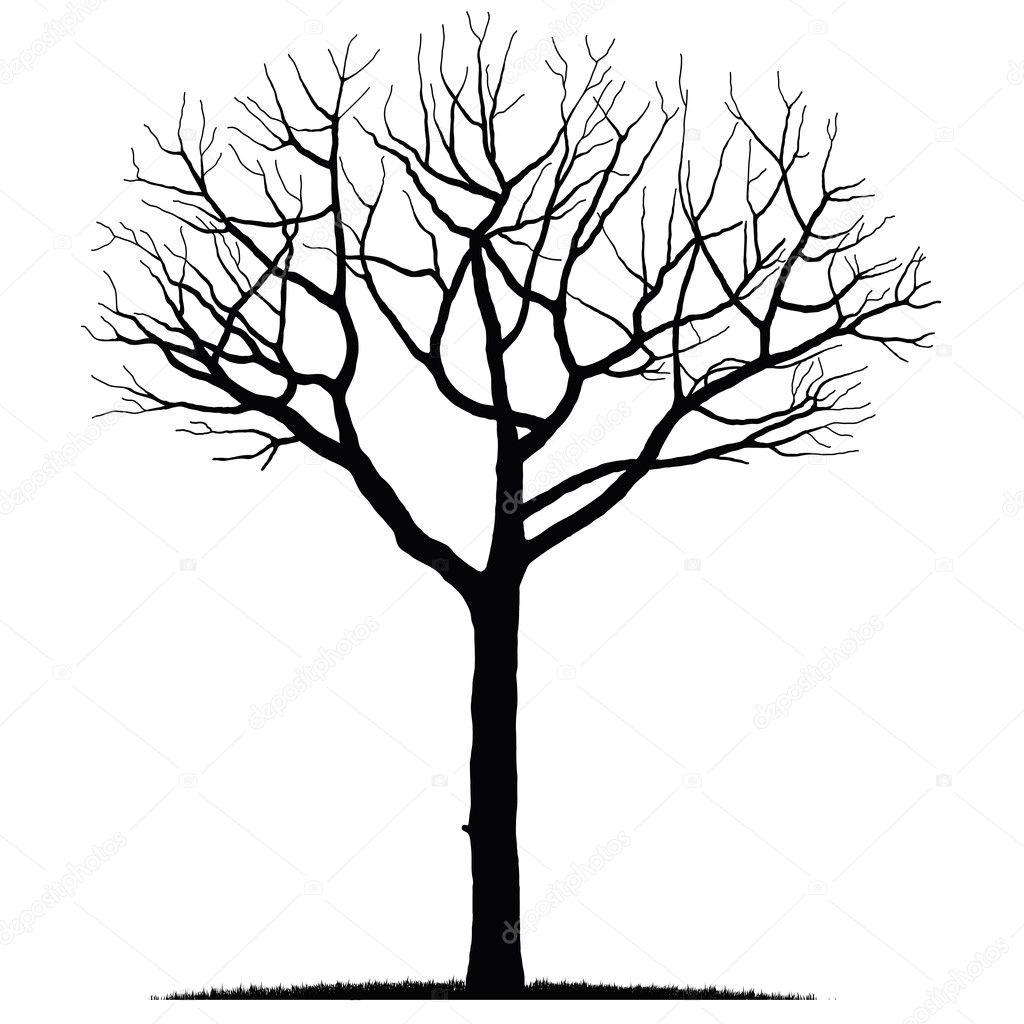 1024x1024 Bare Tree Cxe Wallpaper New