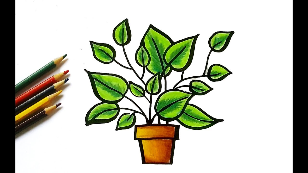 1280x720 How To Draw A Cute Little Tree For Kids Easy Drawing Tutorial