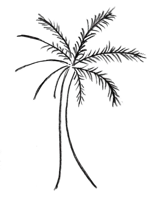 640x859 Palm Tree Easy Drawing How To Draw Tree Monsters Palm Tree Drawing
