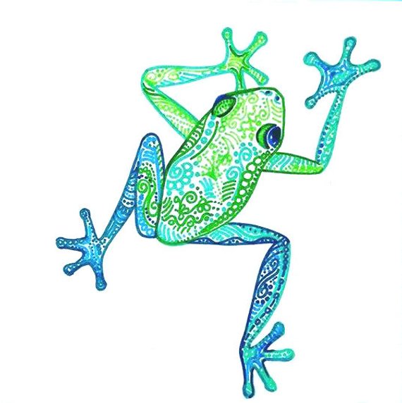 570x572 Items Similar To Tree Frog Drawing Tropical Frog Art Colorful