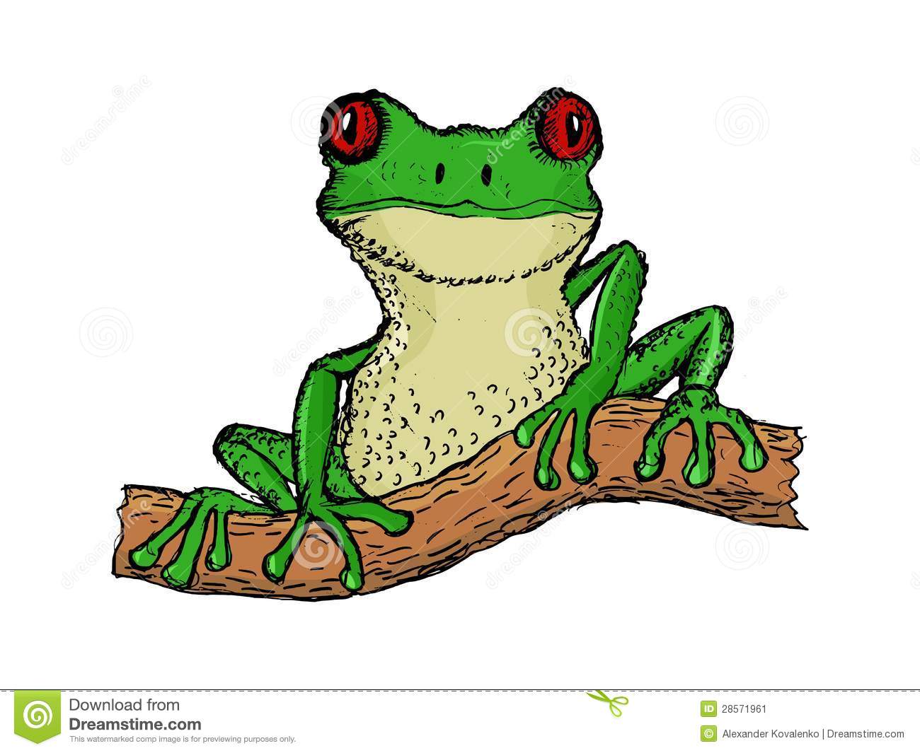 1300x1065 Pacific Tree Frog Drawing