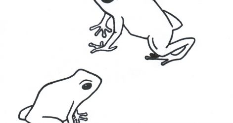 471x250 Drawing Easy And Beautiful Car Tree Frog Step