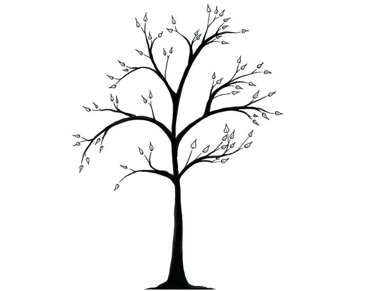 736x567 Winter Tree Drawing How To Draw A Tree Step