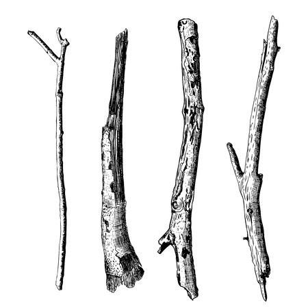 450x450 Hand Drawn Wood Twig Set, Ink Rustic Design Elements Collection