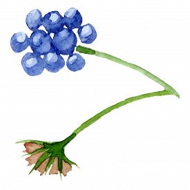 275x275 Ink Drawing Photos And Images