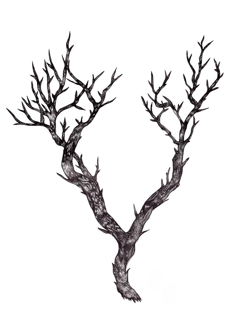 794x1124 Nature Art Print Tree Branch Illustration Limited Etsy