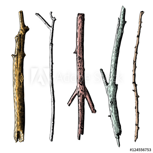 500x500 Set Of Ink Drawing And Painted Wood Twigs, Isolated Watercolor