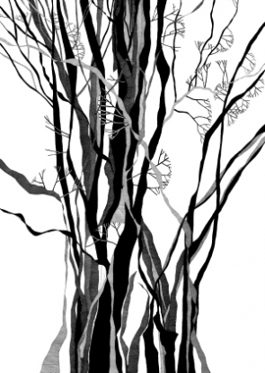 295x414 Tree Pen And Ink Drawings Gallery Fred Kennett