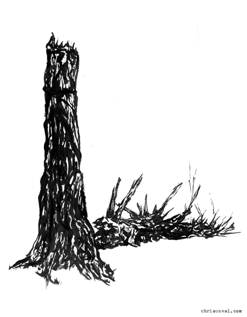 500x640 Tree Ink On Paper Drawing