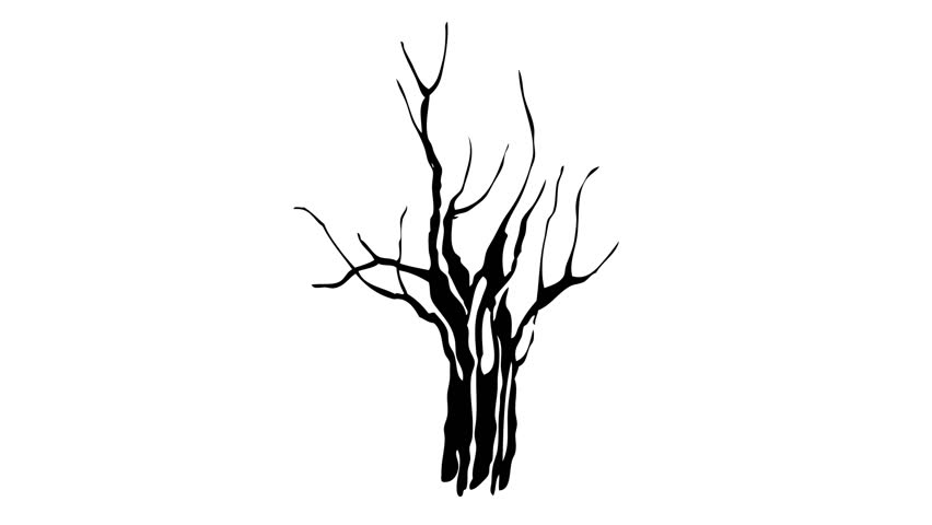 852x480 Animated Ink Drawing Twig Black Stock Footage Video