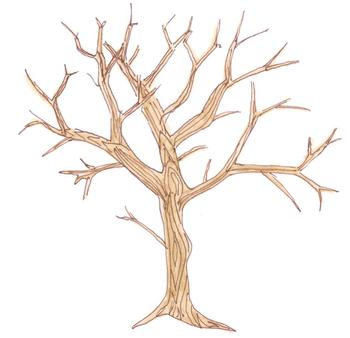 350x338 Tree Clip Art