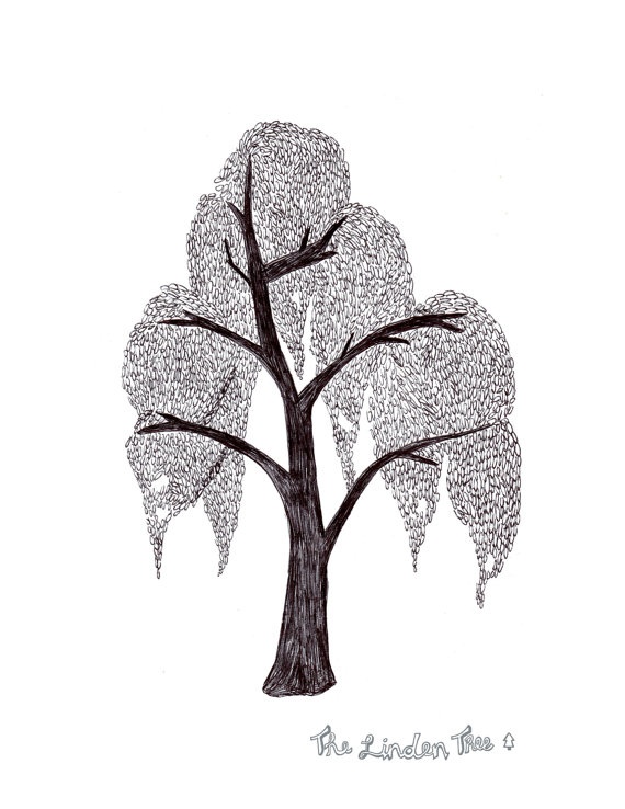570x738 Willow Tree Ink Drawing Digital Print
