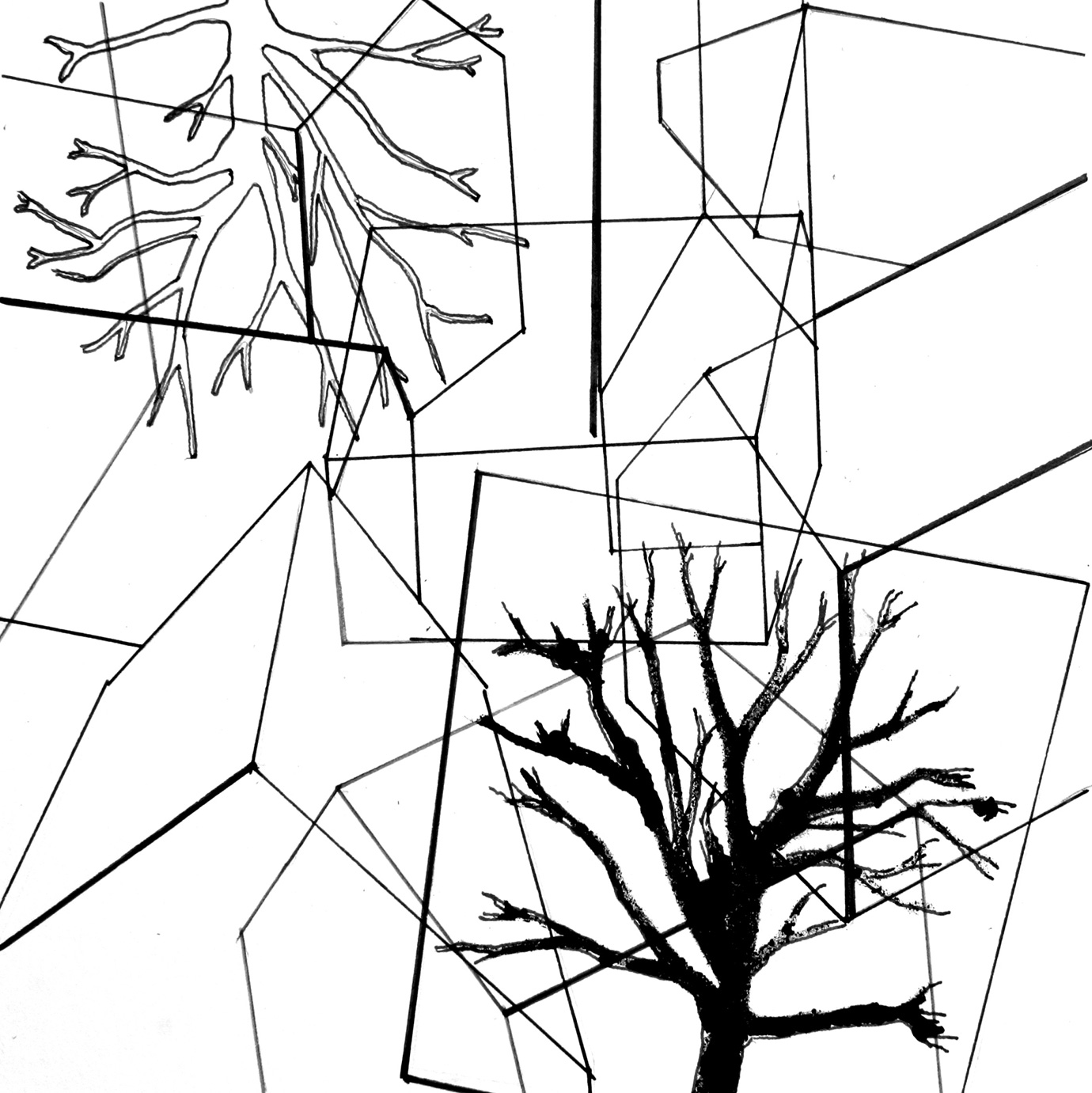 1380x1381 David Parsons, Fields Of Vision New Drawings Velorose