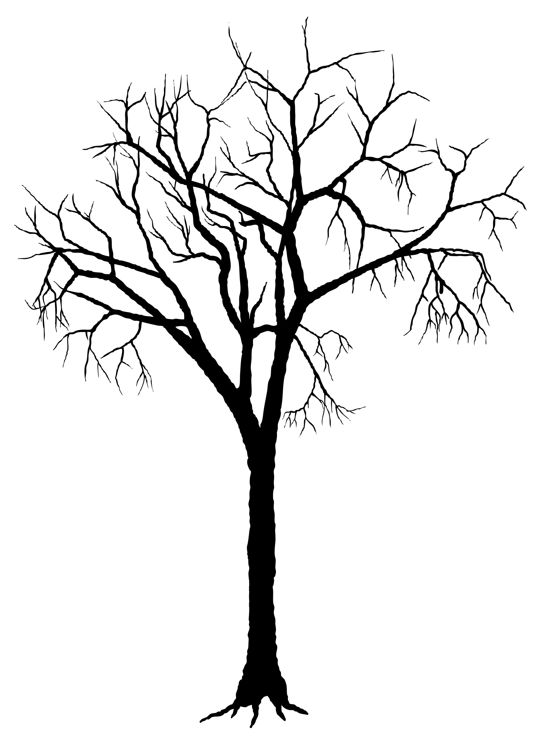1771x2400 Dead Tree Silhouette Clipart Kid