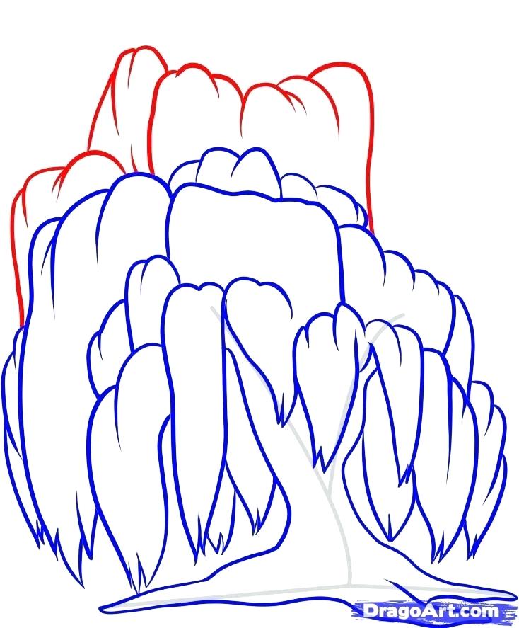 734x887 weeping willow tree drawings tree weeping willow drawing stencil