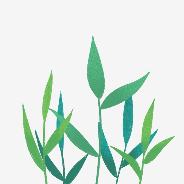 640x640 Hand Drawn Nature Green Leaves, Drawing, Nature, Hand Drawn Png
