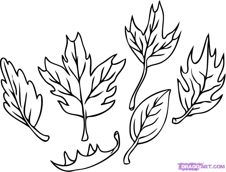 928x706 How To Draw Leaves, Step