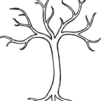 350x350 Tree Without Leaves Coloring