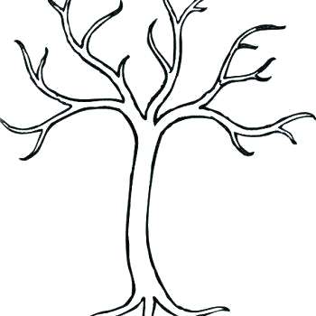 350x350 Tree Without Leaves Drawing How To Draw Tree Branches Gum Tree