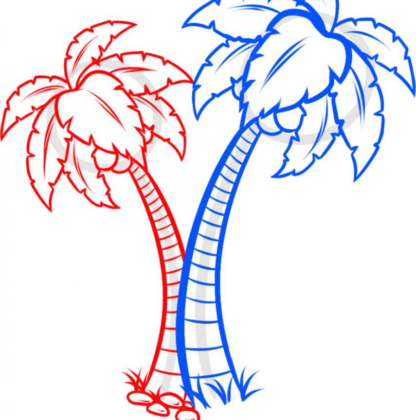 855x864 Tropical Rainforest Trees Drawing Amazing Wallpapers Outstanding