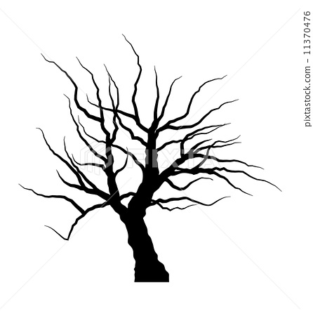 446x450 Sketch Of Dead Tree Without Leaves Isolated On White Backgroun