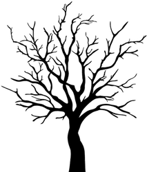 213x250 Tree Leaves Download Free Clipart With A Transparent Background