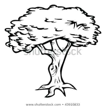 450x453 outline of tree tree outline vectors palm tree outline drawing