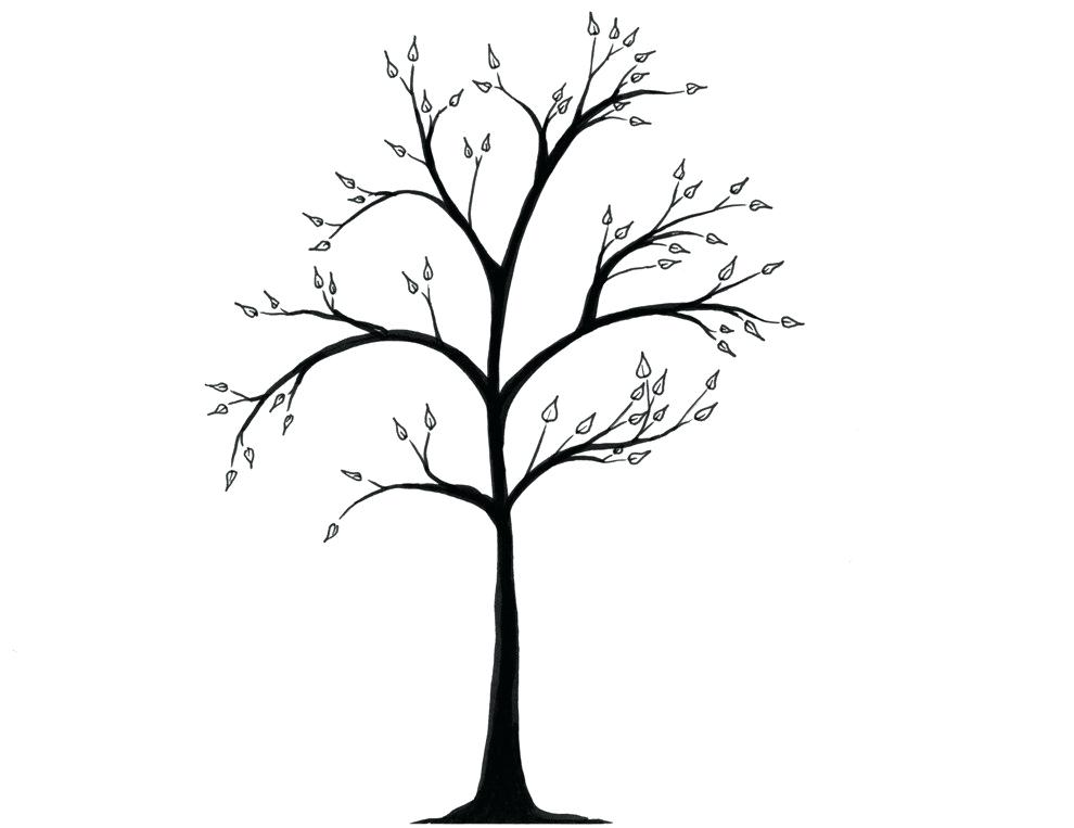 990x763 Simple Drawing Of A Tree Simple Tree Outline Simple Tree Drawing