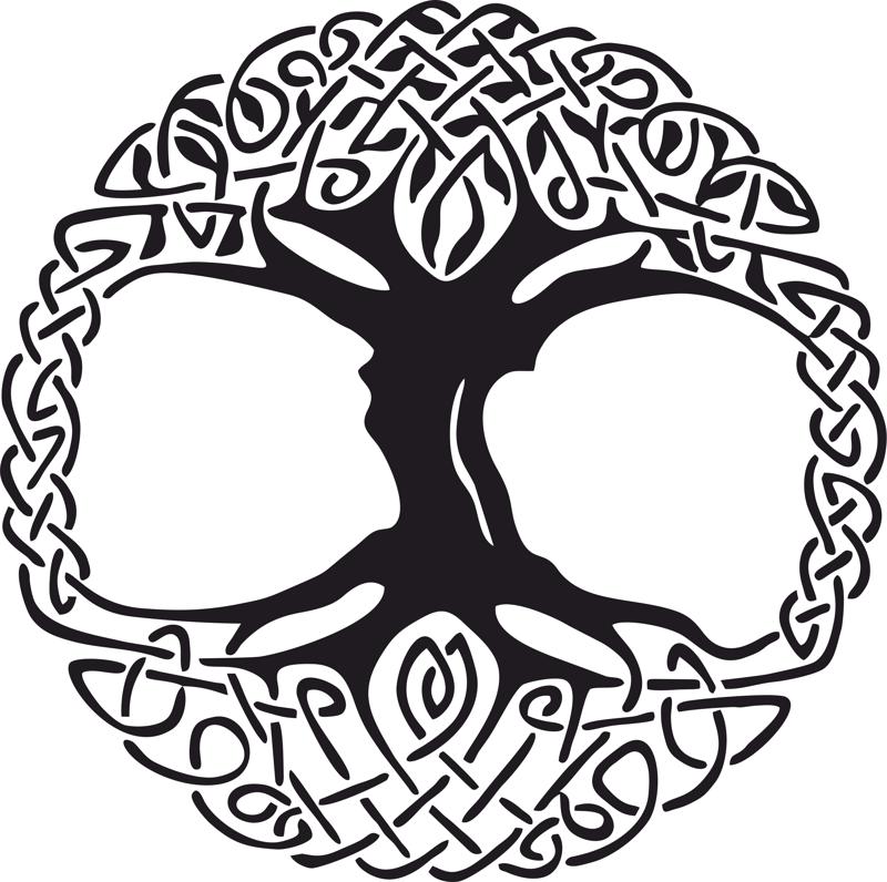 800x796 Celtic Tree Of Life Vinyl Window Sticker Vector Amee House