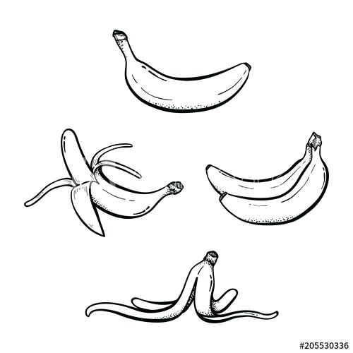 Collection of Banana split clipart | Free download best Banana split ...