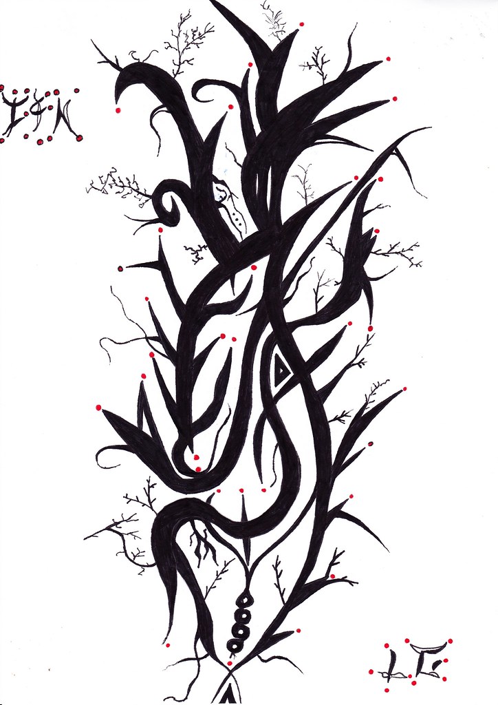 724x1024 Lgdraw's Most Interesting Photos Picssr