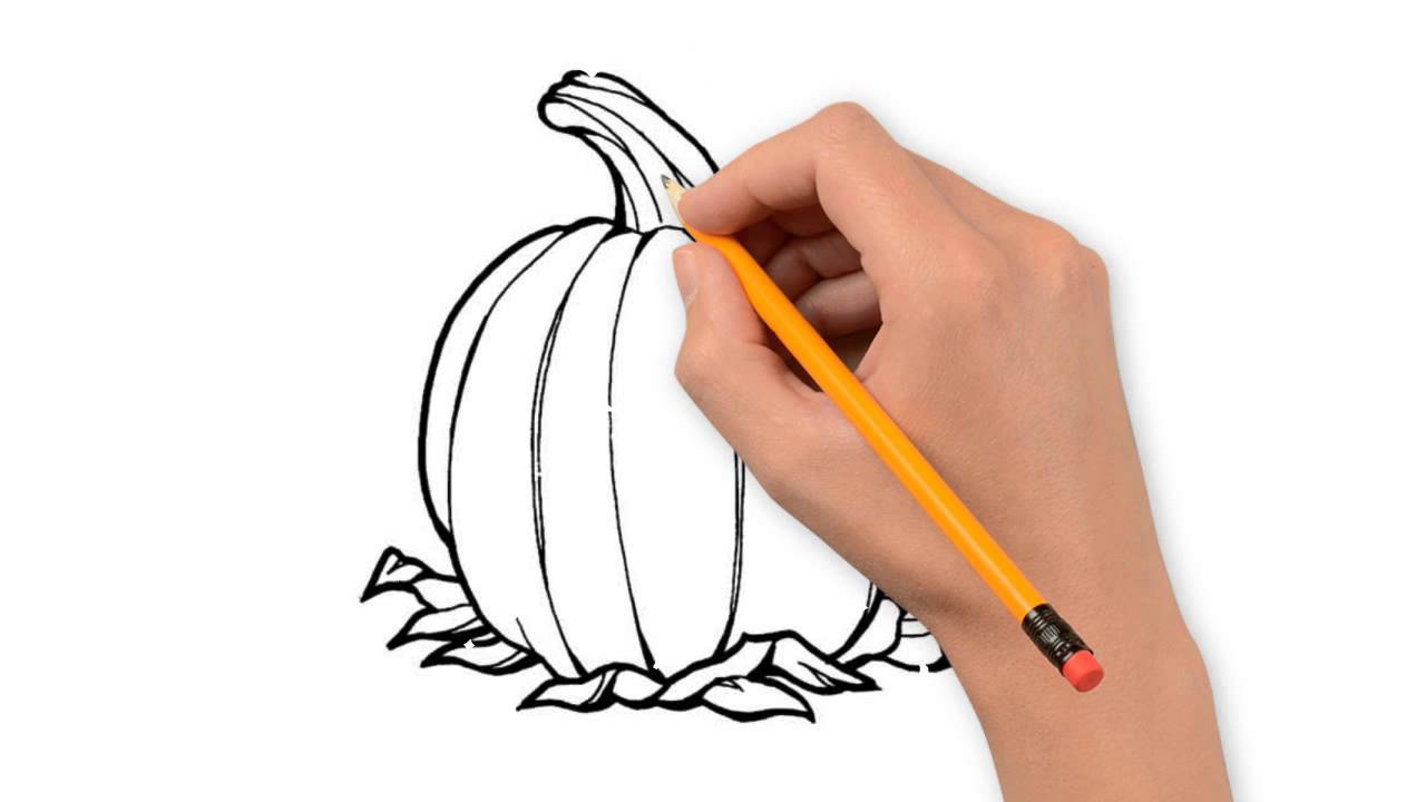 1280x720 Vegetables The Nature Of A Pencil To Draw Step