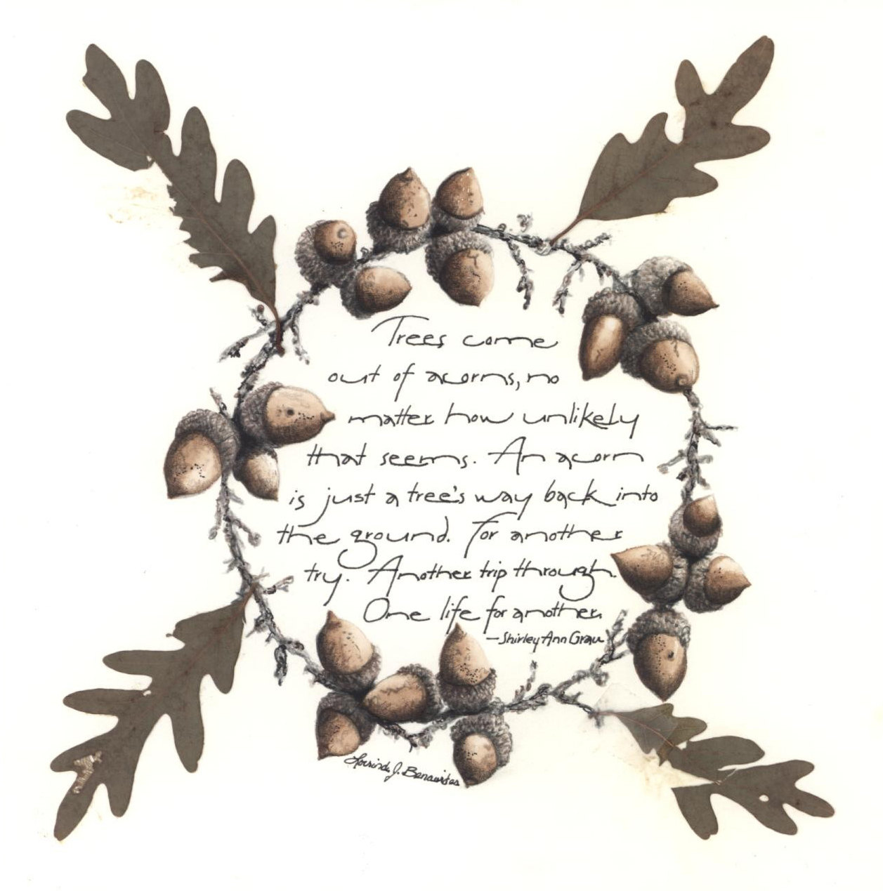1257x1269 Acorns Colored Pencil Print Art Illustration Wreath Etsy