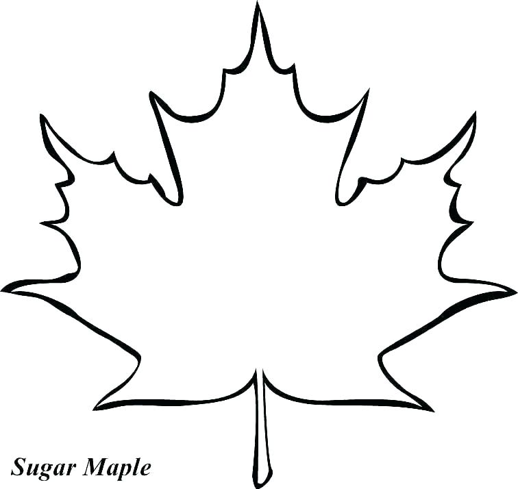 Tree Outline Drawing | Free download on ClipArtMag