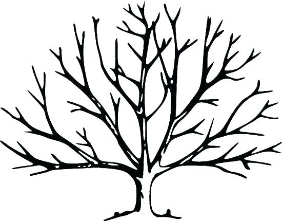 550x430 Outline Of Trees Dead Trees Black And White Drawings Tree Spooky
