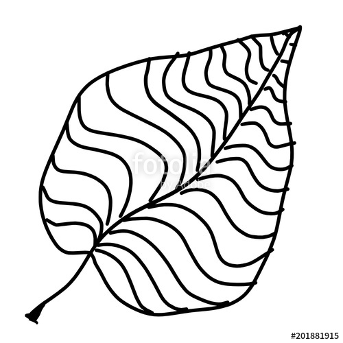 500x500 Outline Drawing Of A Tree Leaf Stock Image And Royalty Free