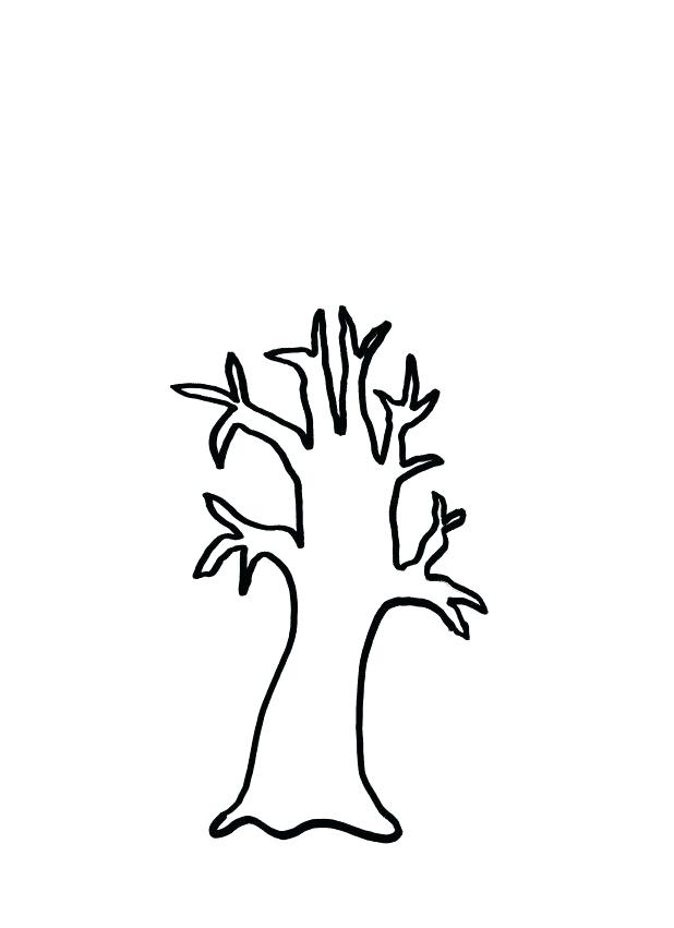 618x851 Simple Tree Outline Simple Tree Outline Coloring Drawing Simple
