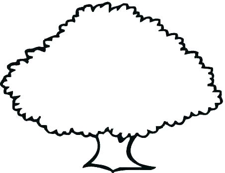 453x350 tree outline stencil of a tree outline tree outline drawing images