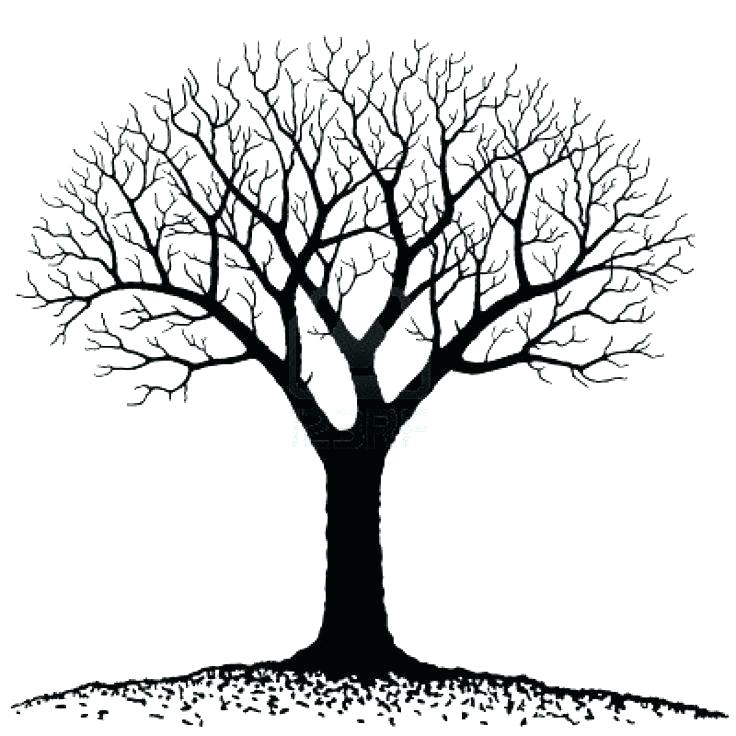 736x736 tree trunk outline two tree trunk outline drawing