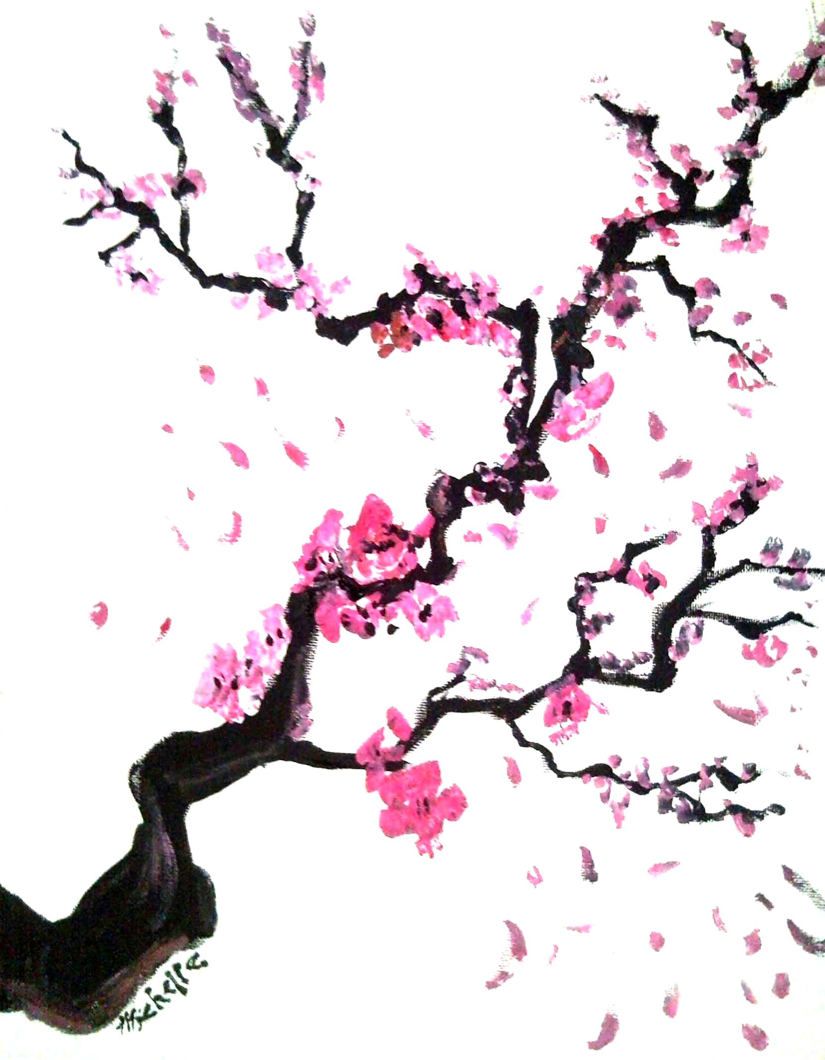 1662x2136 Huge Collection Of 'cherry Blossom Tree Pencil Drawing' Download